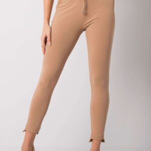 Spodnie Dresowe Model RV-DR-6002.14X Camel - BFG